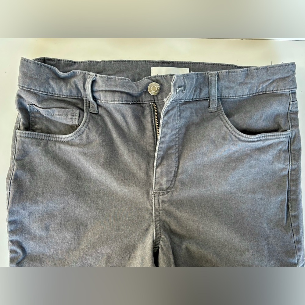 Loft Gray pant brushed twill